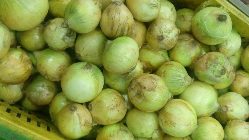 Cebolla cabezona
