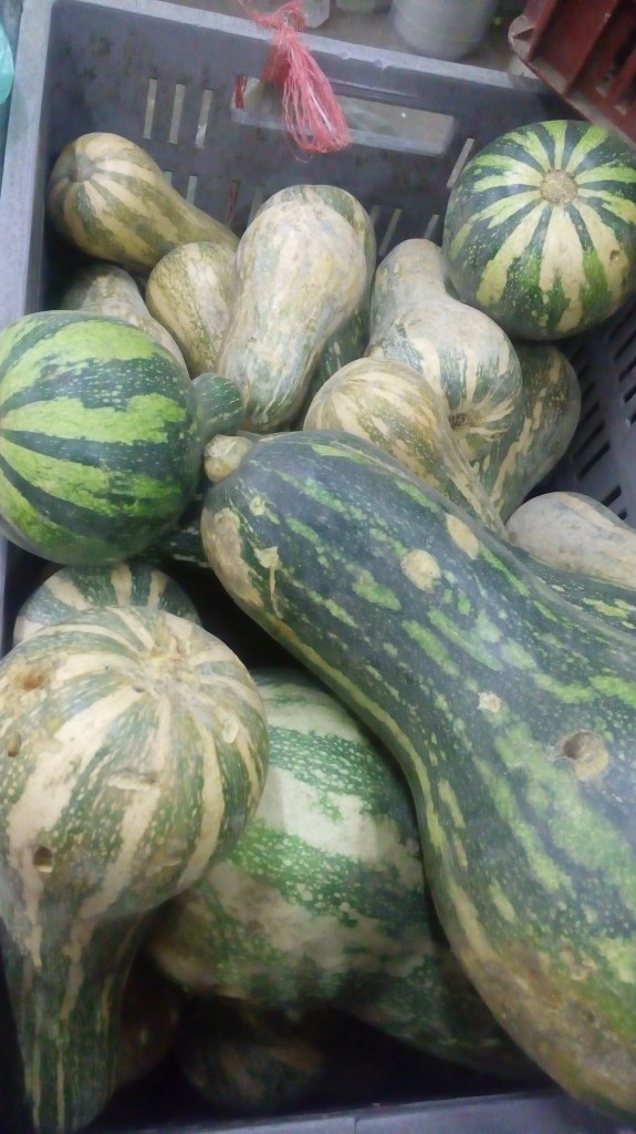 Ahuyama sapato