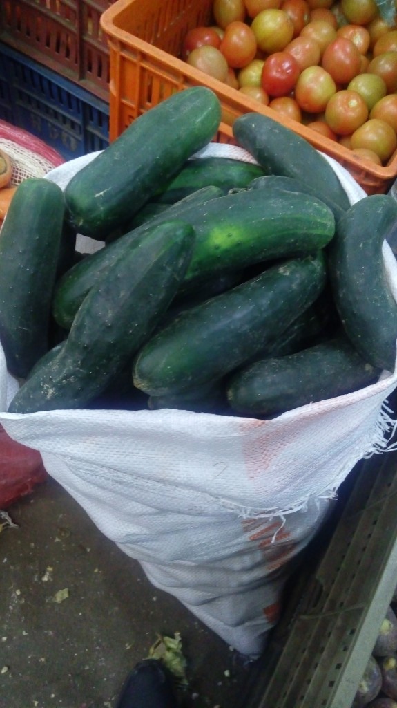Pepino cohombro