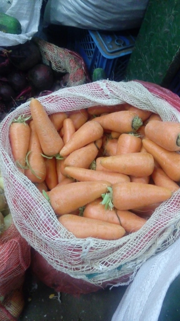Zanahoria