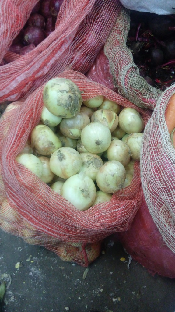 Cebolla cabezona