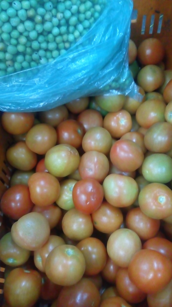 Tomate chonto de primera