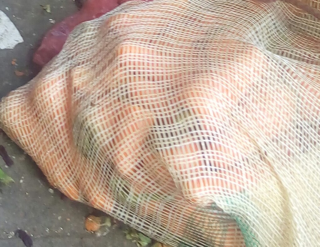 Zanahoria fina
