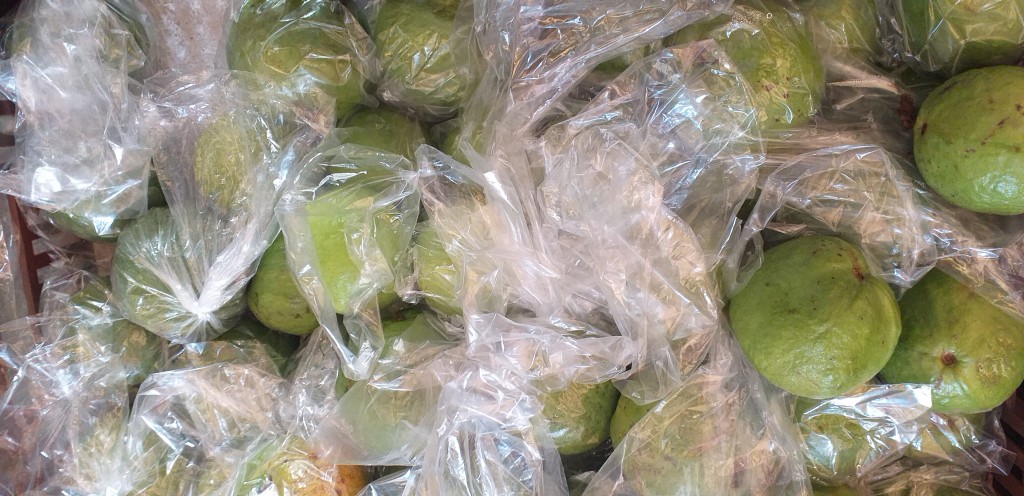 Guayaba manzana