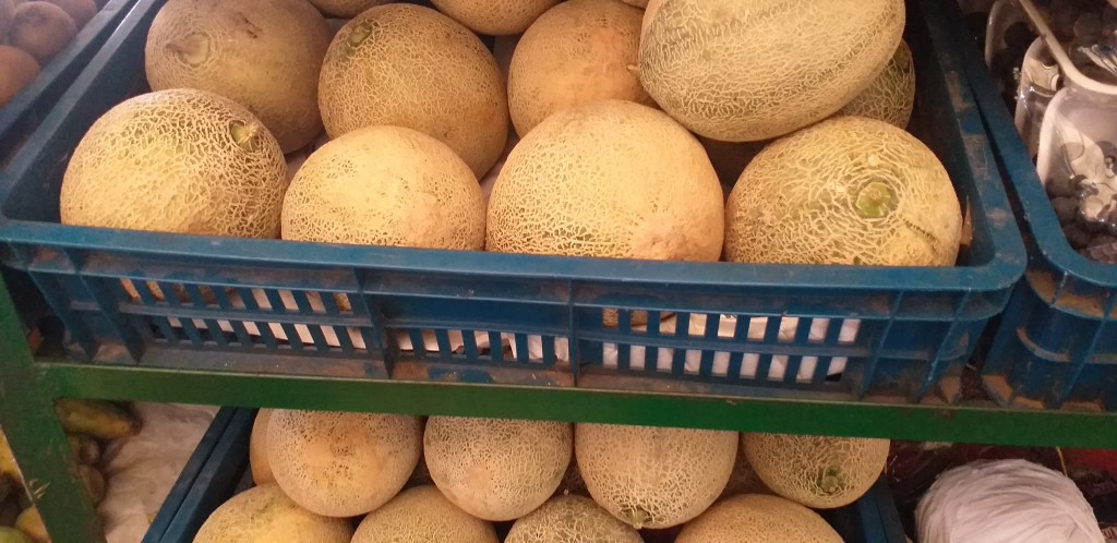 Melon