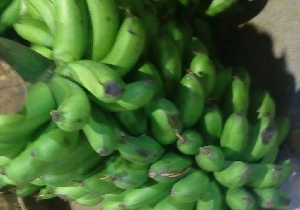 Colicero