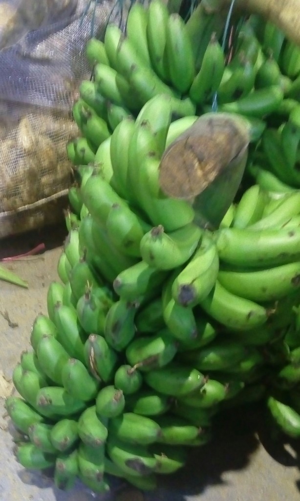 Colicero