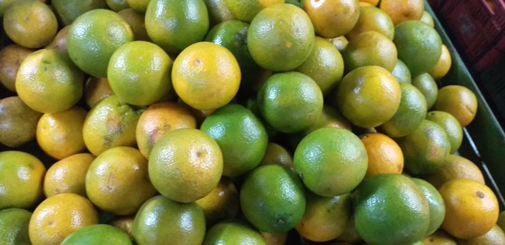 Naranja valencia