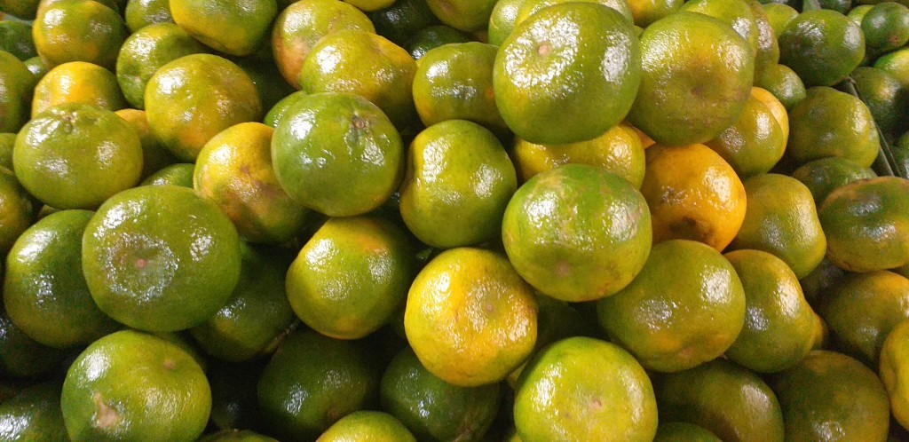 Mandarina oneco