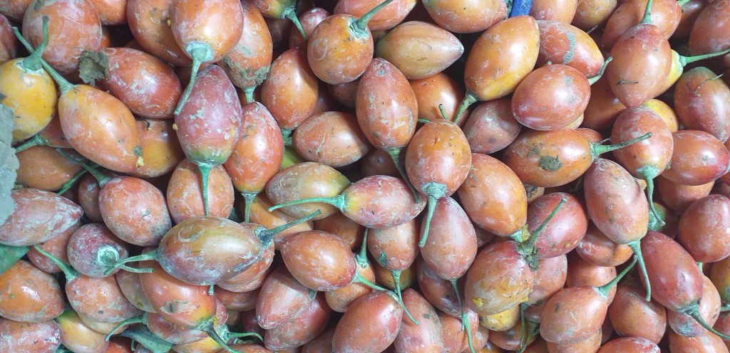 Tomate de arbol