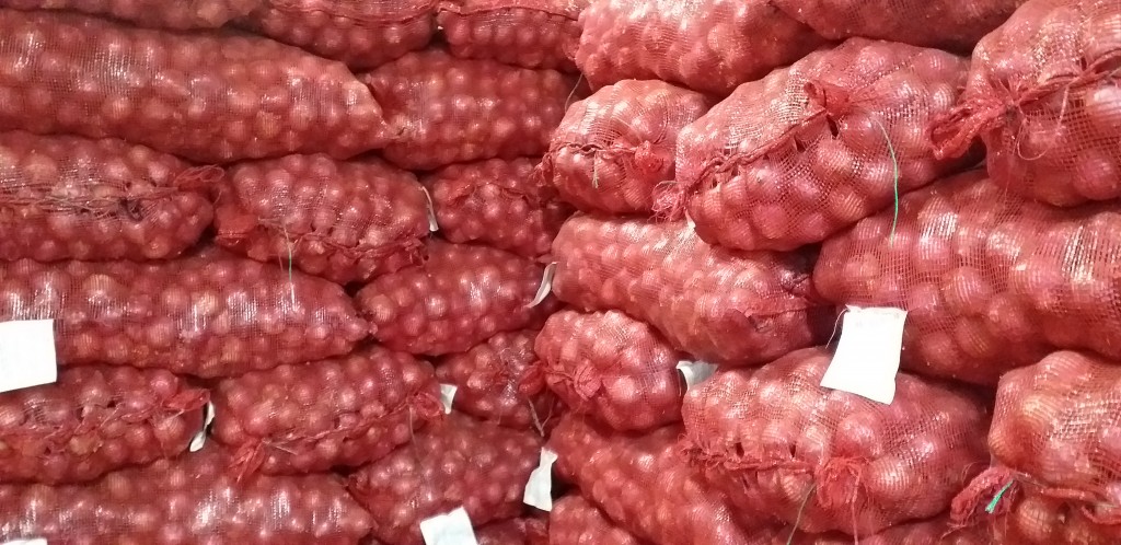 Cebolla peruana