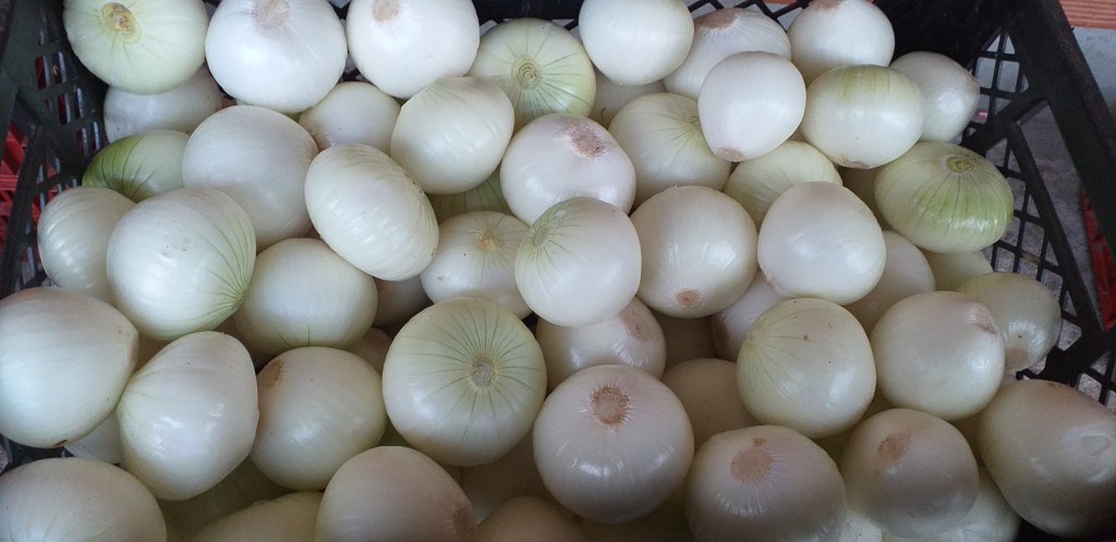 Cebolla blanca pelada