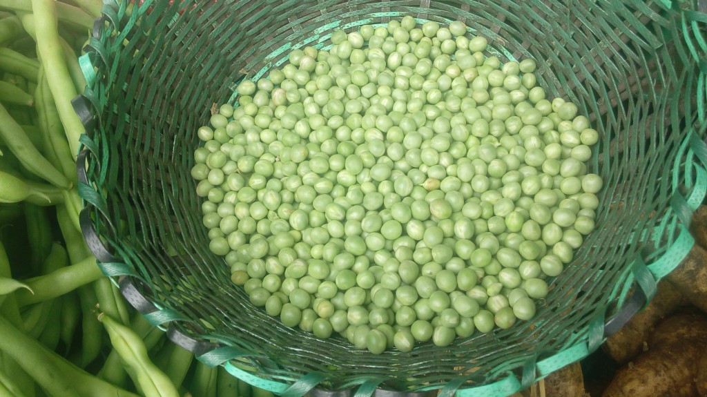 Arvejas