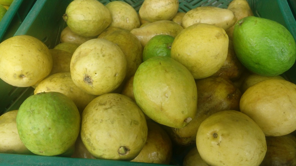 Guayaba