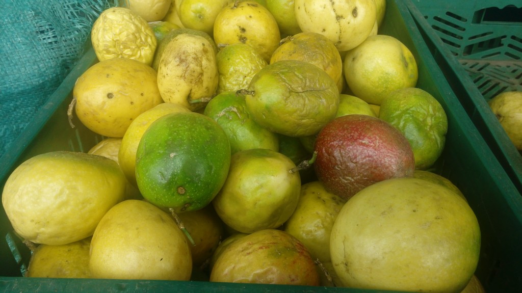 Maracuyá