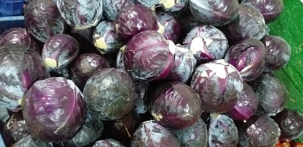 Repollo morado