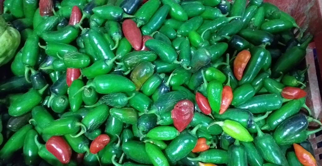 Jalapeño