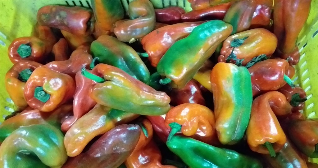 Pimenton rojo