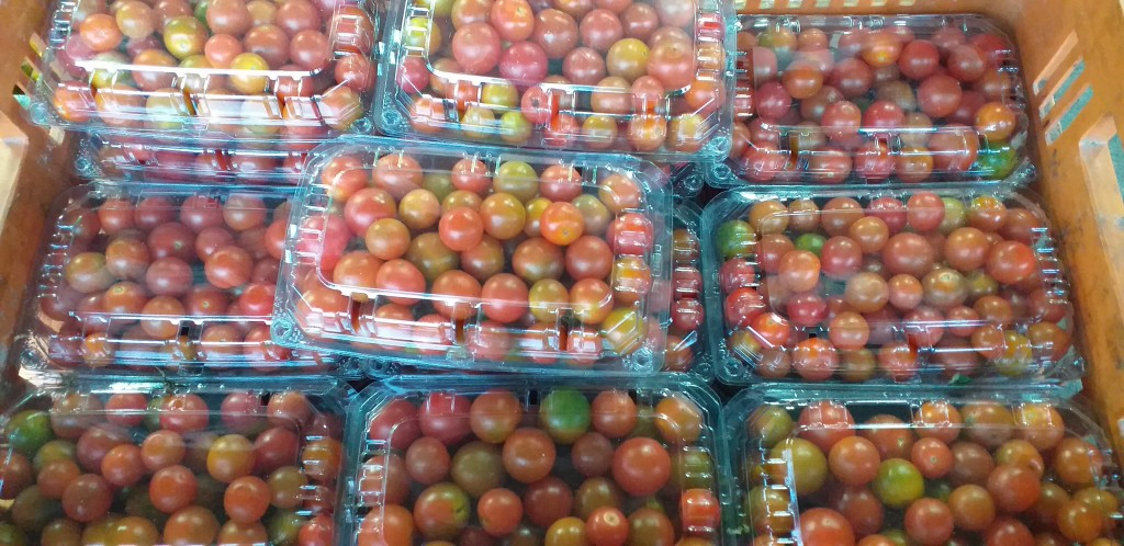 Tomate cherry