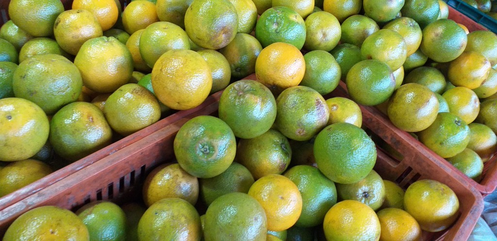 Naranja valencia