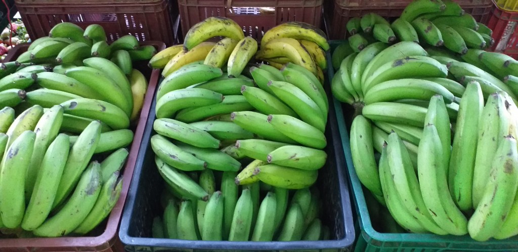 Banano verde criollo