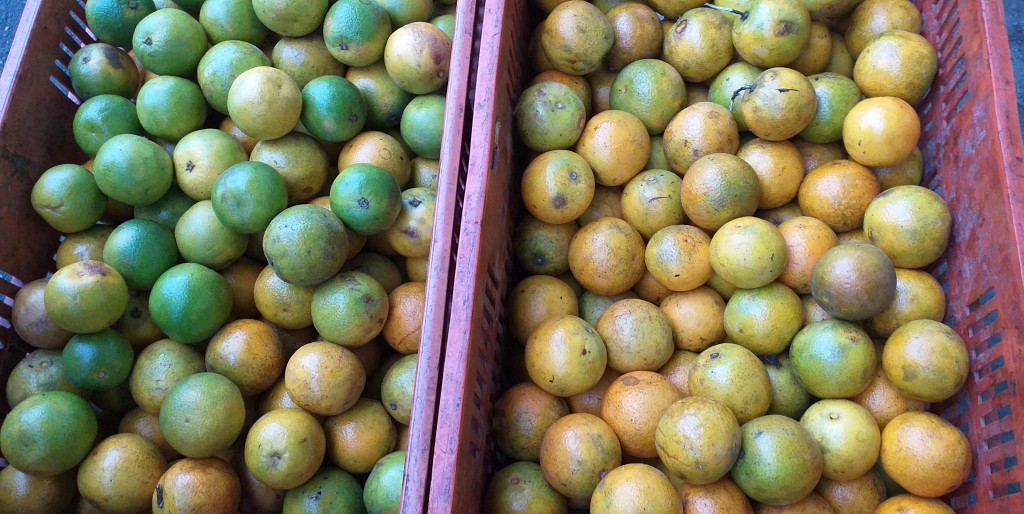 Naranja valencia de 2da