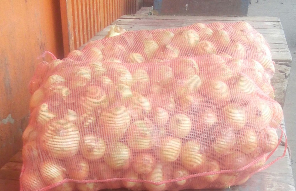 Cebolla cabezona