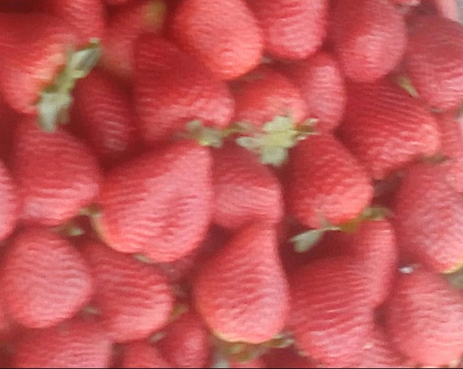 Fresa selecta