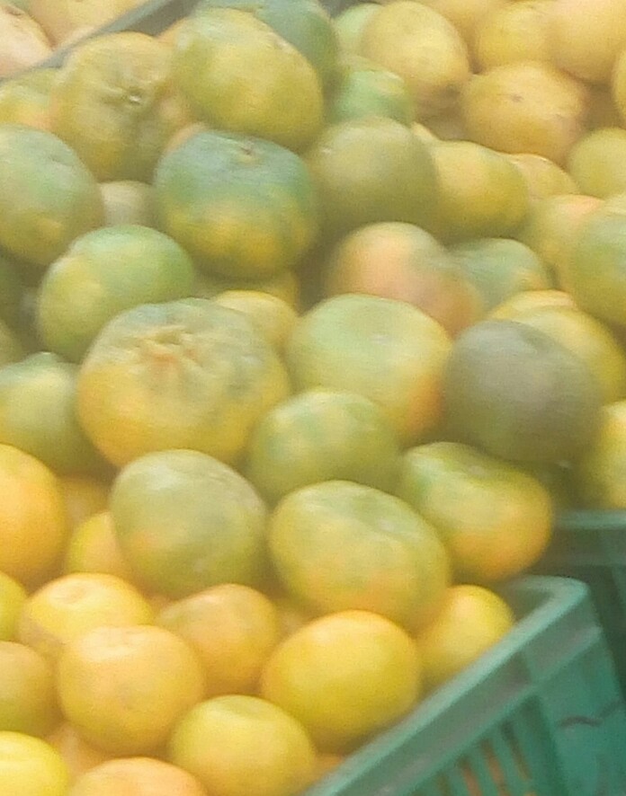 Mandarina arrallana