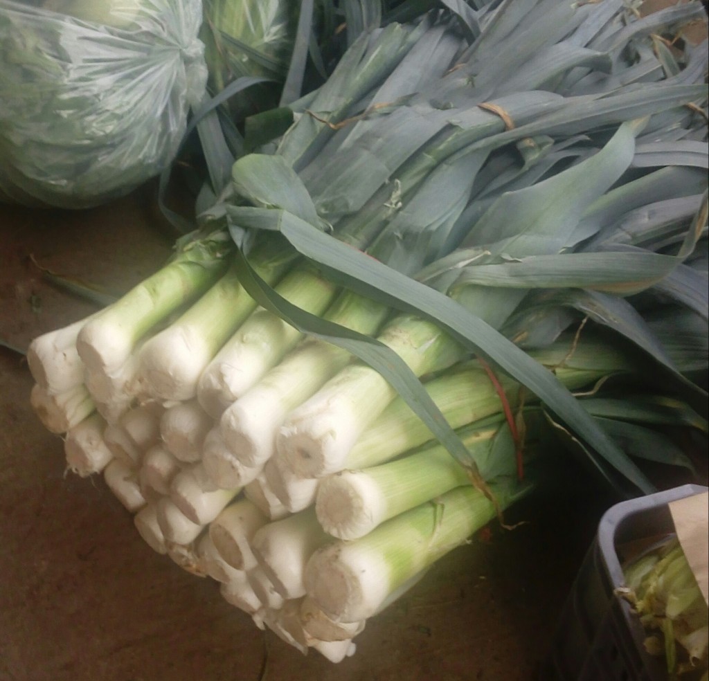 Cebolla puerro
