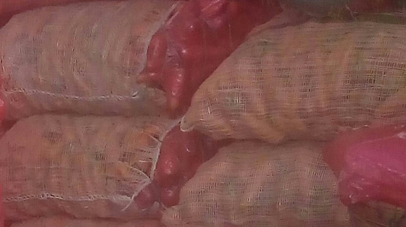 Zanahoria de primera