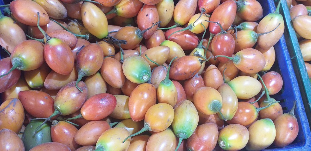Tomate de arbol
