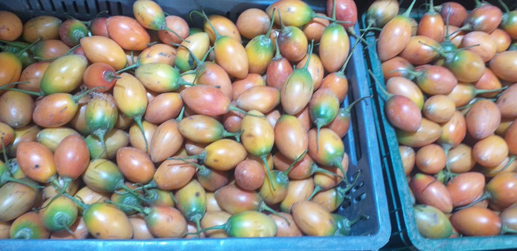 Tomate de arbol 2da
