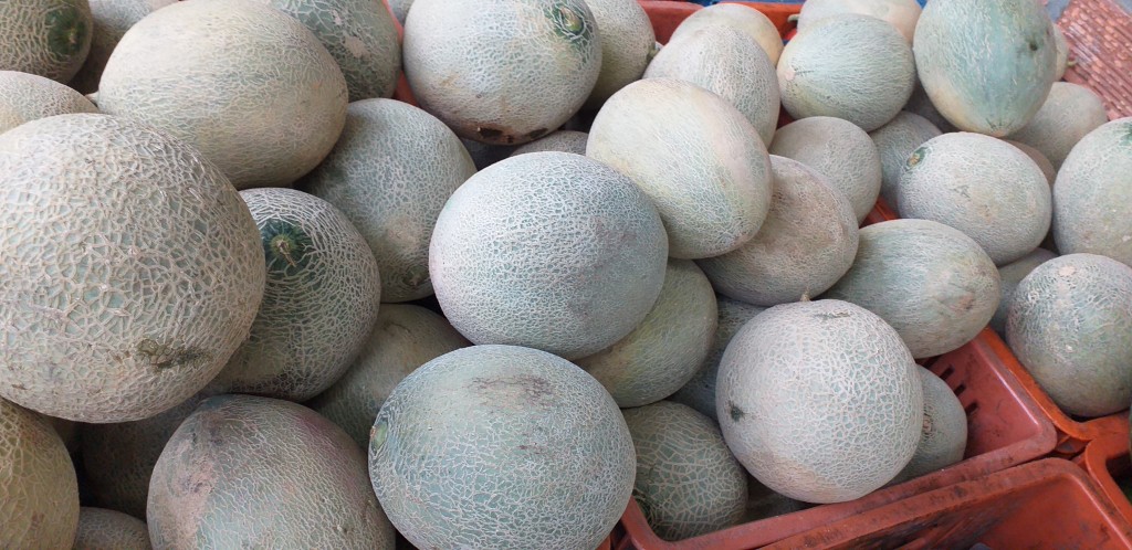 Melon