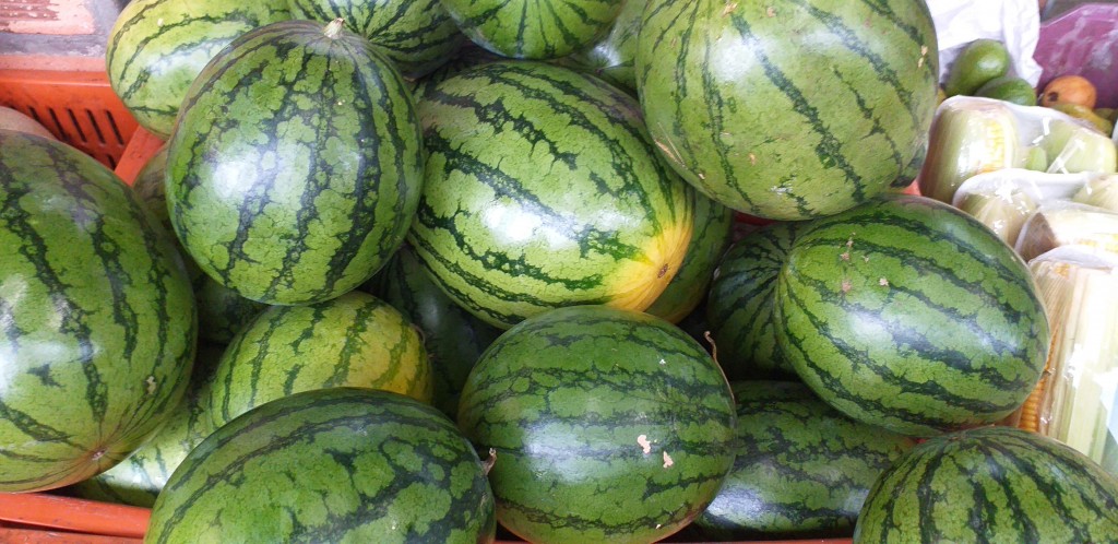 Sandia baby