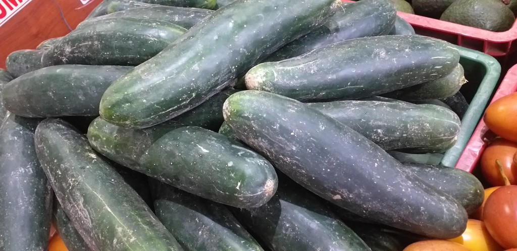 Pepino cohombro