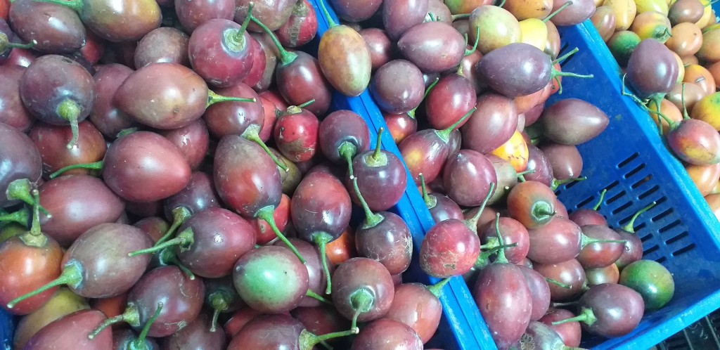 Tomate de arbol selecto