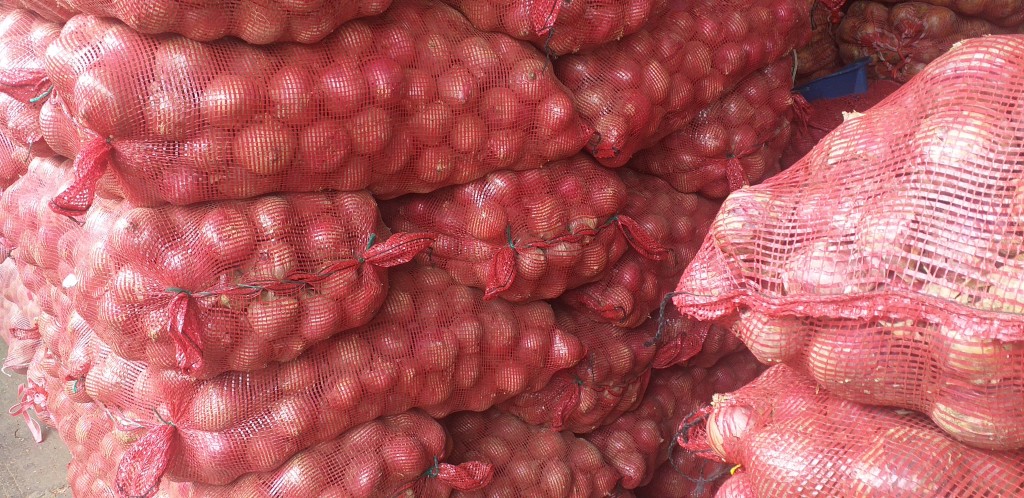 Cebolla ocañera