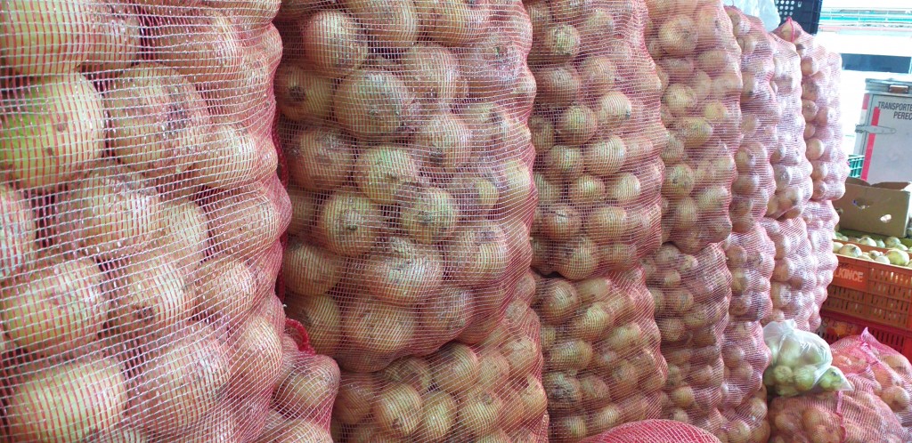 Cebolla blanca