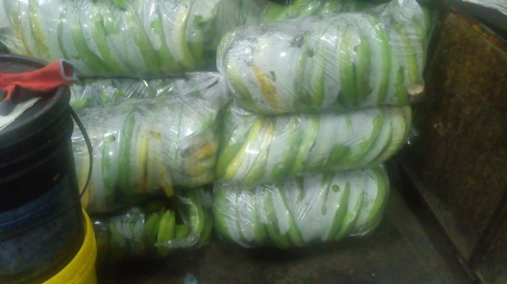 Plátano