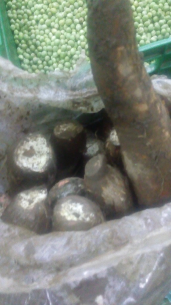 Yuca