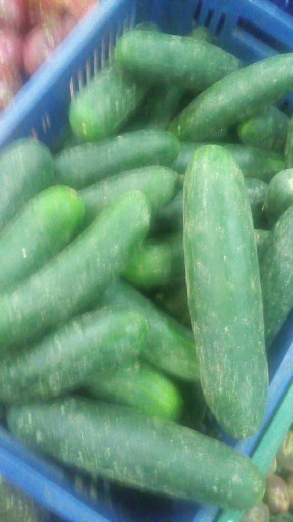 Pepino cohombro