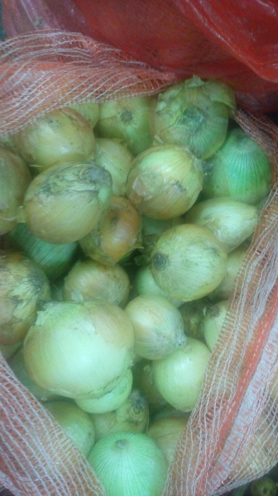 Cebolla cabezona
