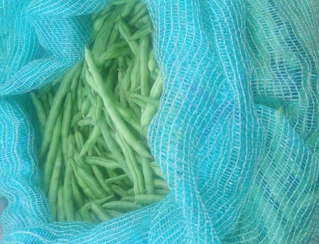Habichuelas