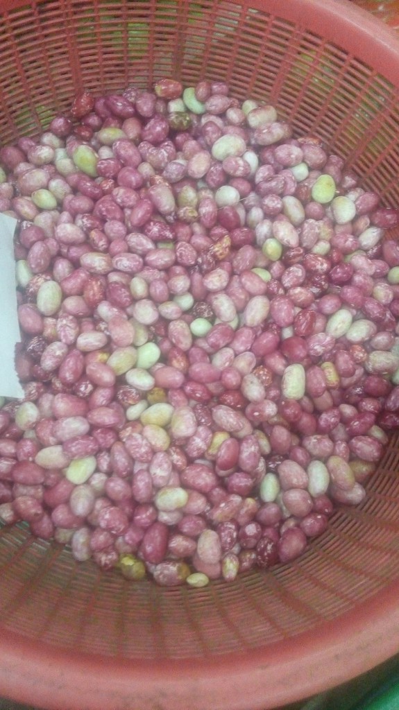 Frijol