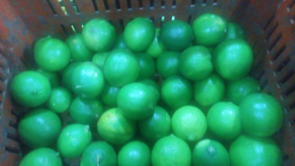 Limón