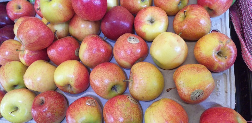 Manzana gala