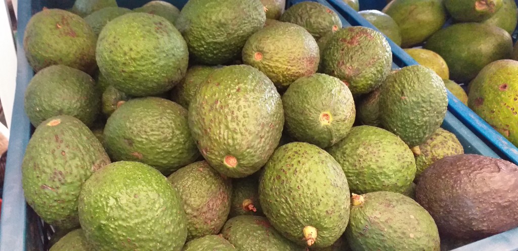 Aguacate hass