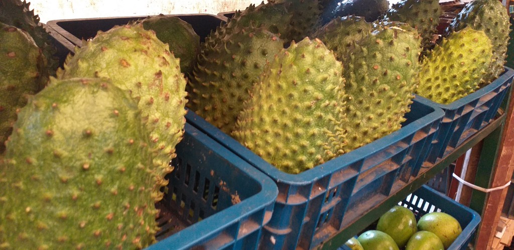 Guanabana