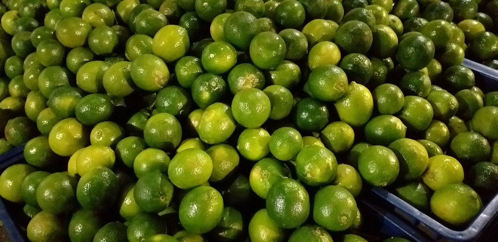 Limon tahiti
